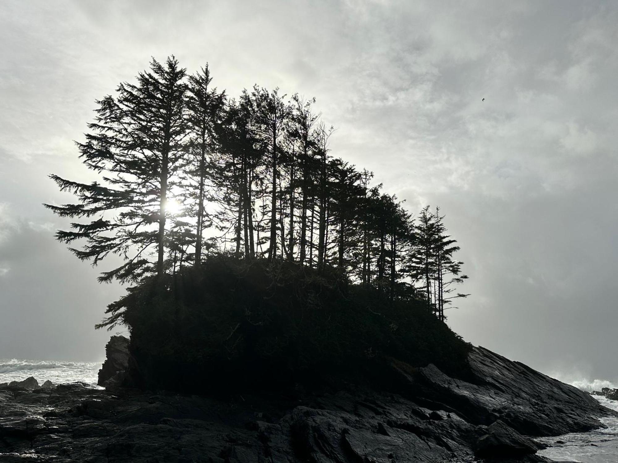 Bjorn Holm Villa Port Renfrew Buitenkant foto