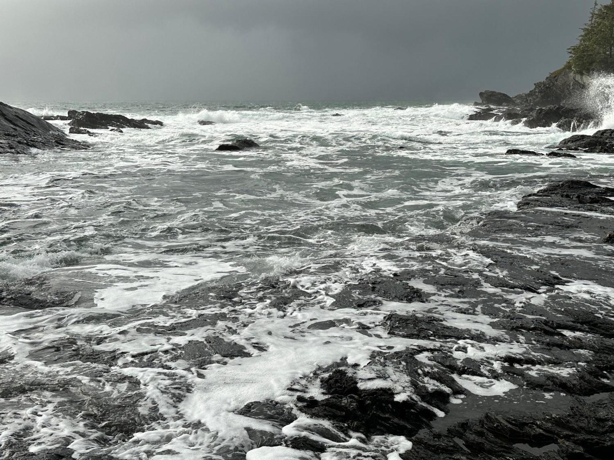 Bjorn Holm Villa Port Renfrew Buitenkant foto